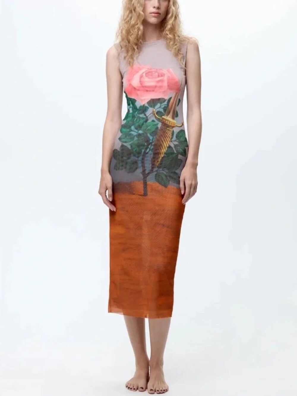 Zara x Rene Magritte tulle dress NWT